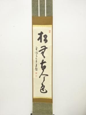 泉涌寺　小松道圓筆　「松無古今色」　一行書　紙本肉筆掛軸